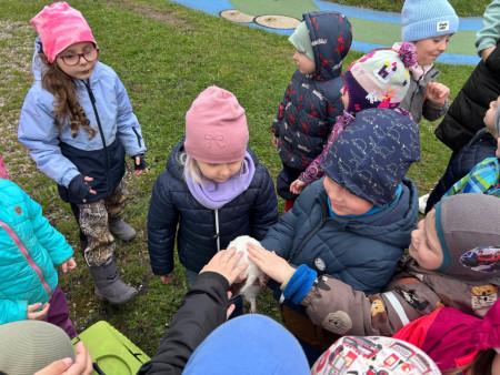 Na zahradu nám přijel traktor